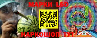 PSILOCYBIN Камень-на-Оби