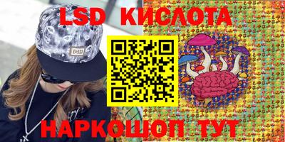 СК Апшеронск