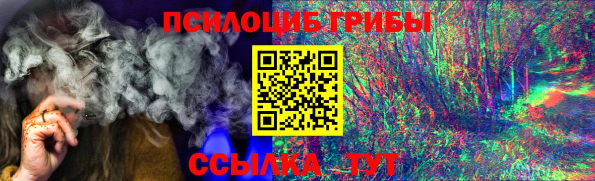 Псилоцибиновые грибы Psilocybe  Вход с VPN  Благовещенск 