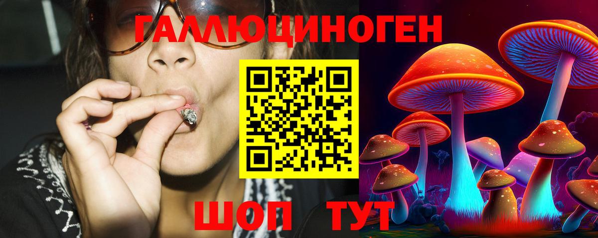 Галлюциногенные грибы Psilocybe Благовещенск