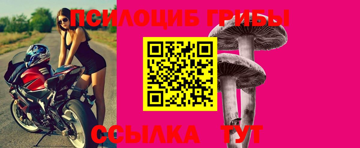 Галлюциногенные грибы MAGIC MUSHROOMS  Галлюциногенные грибы GOLDEN TEACHER  Благовещенск 