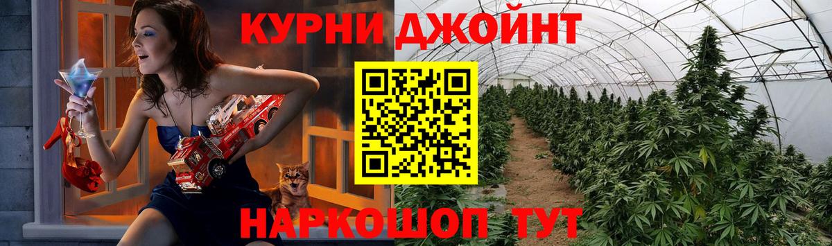 МАРИХУАНА сатива Благовещенск